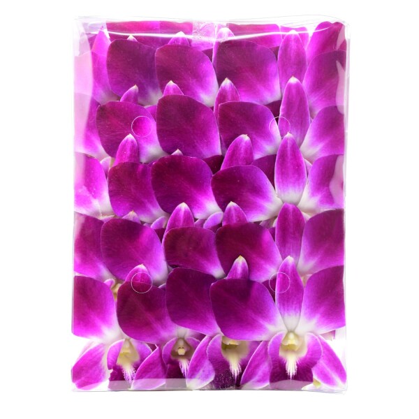 Kwiaty jadalny Storczyk