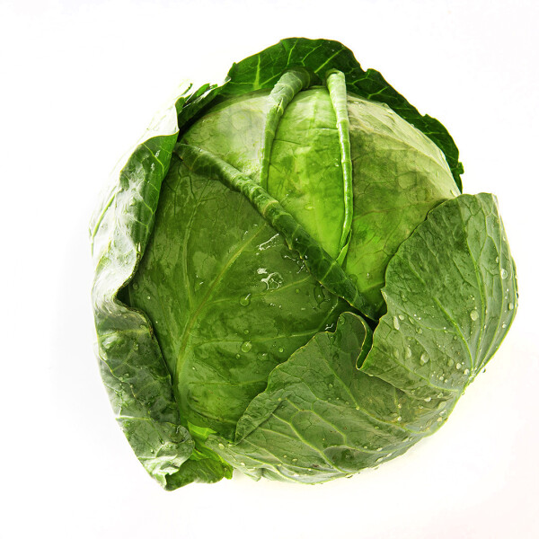 Kapusta młoda (SZT)