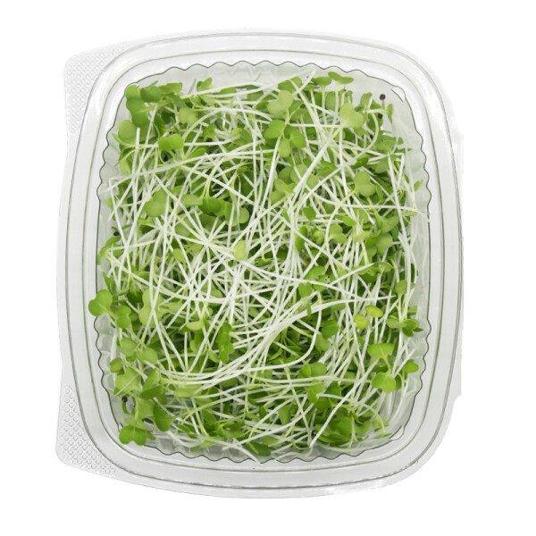 Mikroliście pak choi