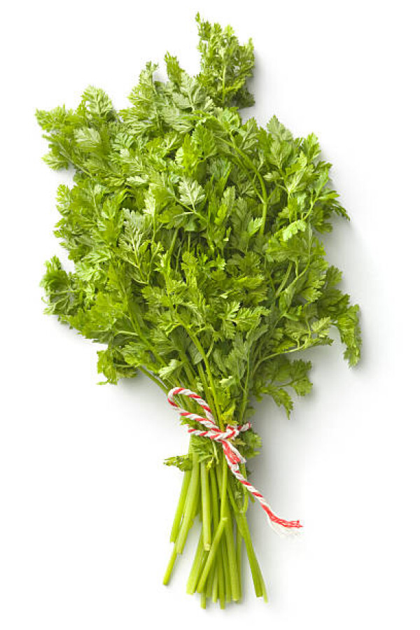Trybula (100G)