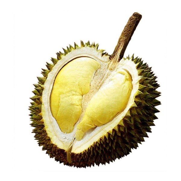 Durian (SZT)