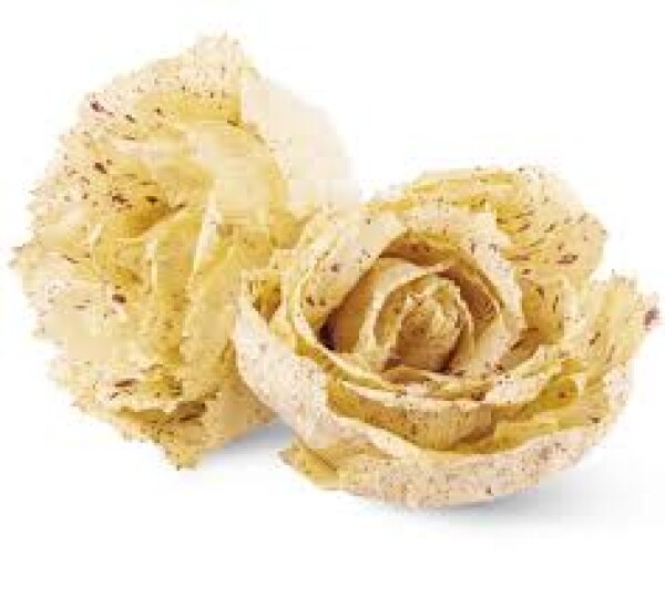 Salata radicchio Variegato (SZT)