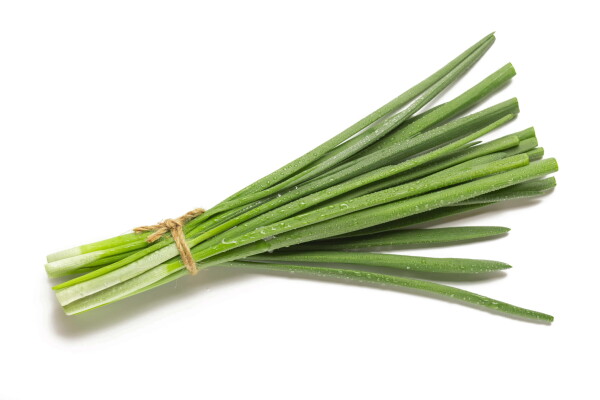 Szczypior paluch gruby pęczek (50G)