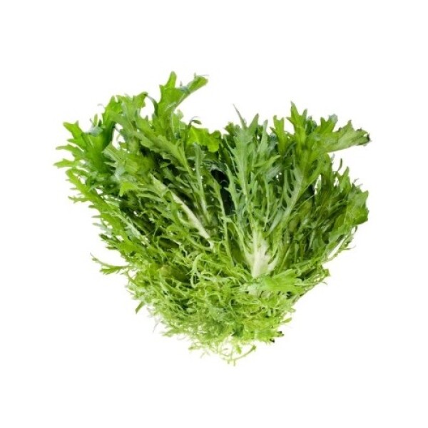 Sałata freeze zielony (SZT)