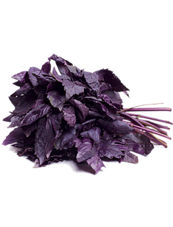 Bazylia czerwona (100G)