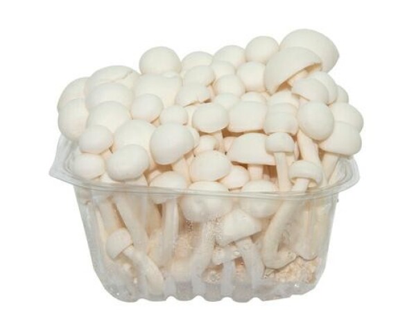 Grzyby Shimeji białe (150G)