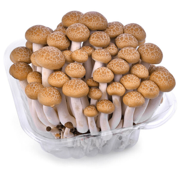 Grzyby Shimeji brązowe (150G)