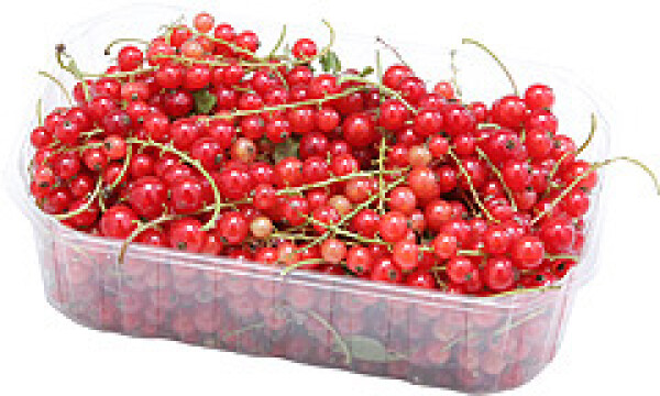 Porzeczka czerwona (250G)