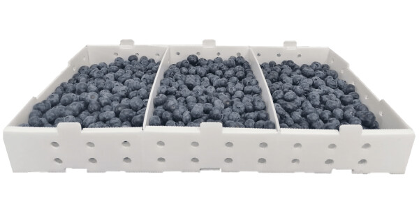 Borówka kal. 16+ (3KG)