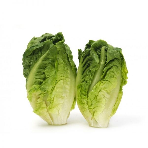 Salata rzymska mini 2 (250G)