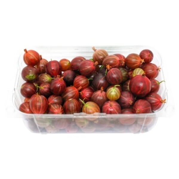Agrest czerwony (250G)