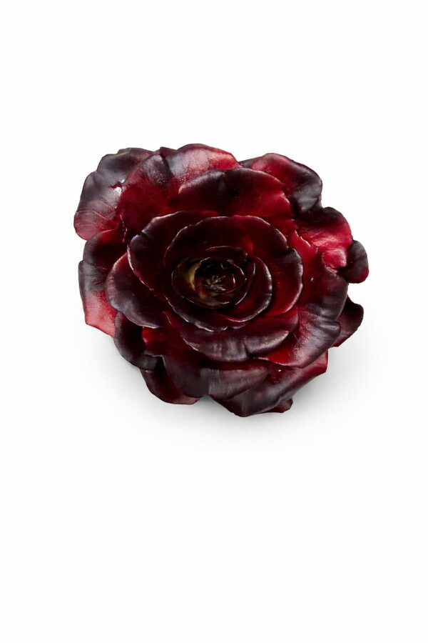 Salata radicchio Rosa (SZT)