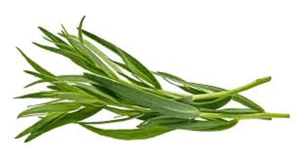 Estragon (100G)