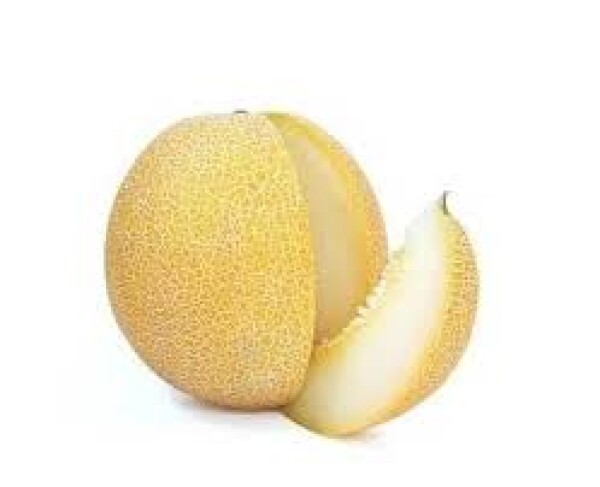 Melon Galia (SZT)