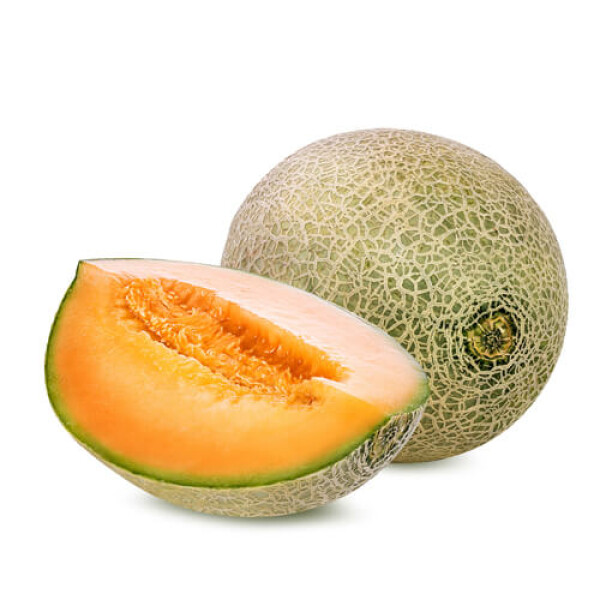 Melon Cantaloupe (SZT)