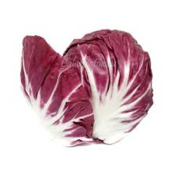 Sałata radicchio (SZT)