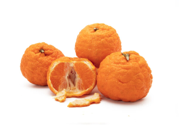 Mandarynka Nugget (1KG)