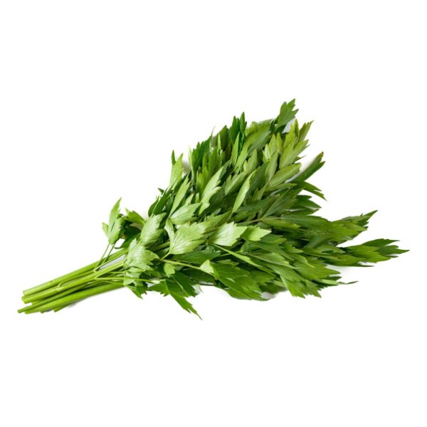 Lubczyk cięty (100G)
