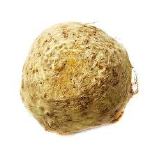 Seler korzeniowy (SZT)