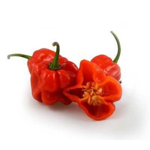Papryka habanero czerwona (100G)