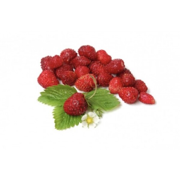 Poziomka (125G)
