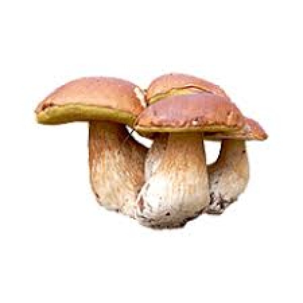 Grzyby Borowiki (1KG)