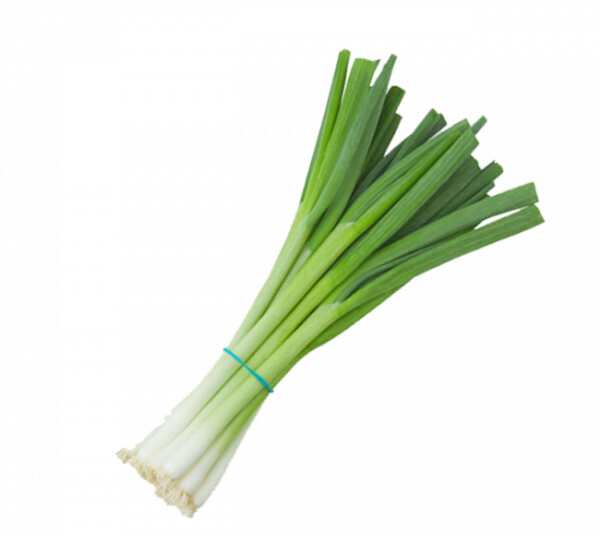 Szczypior paluch gruby pęczek (50G)