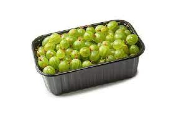 Agrest zielony (250G)