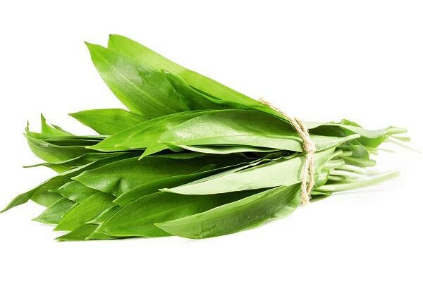 Czosnek niedźwiedzi (50G)