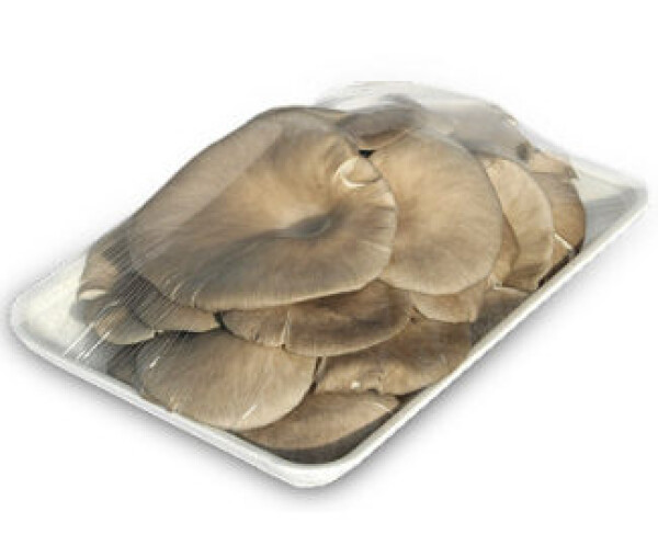 Grzyby Boczniak (250G)