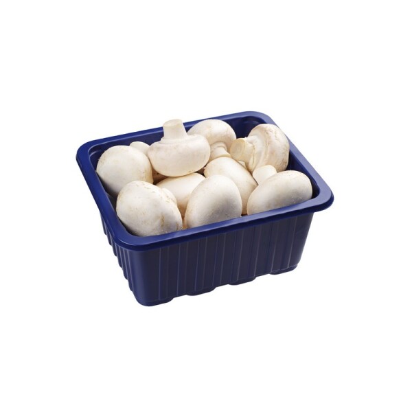 Grzyby Pieczarka średna (500G)