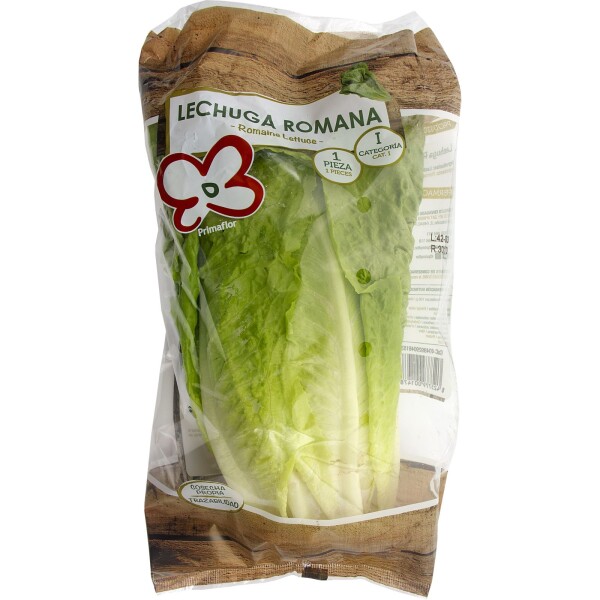 Sałata rzymska (SZT)