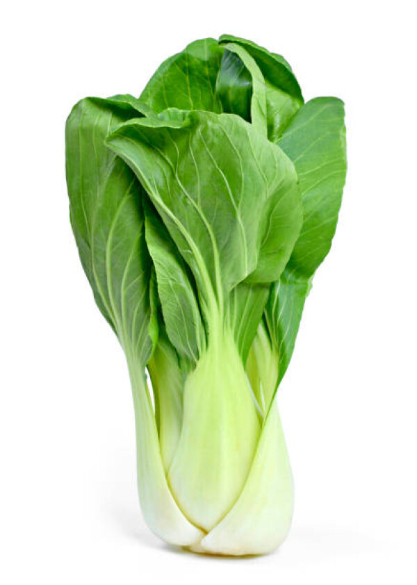 Cabagge Pak Choi (500G)