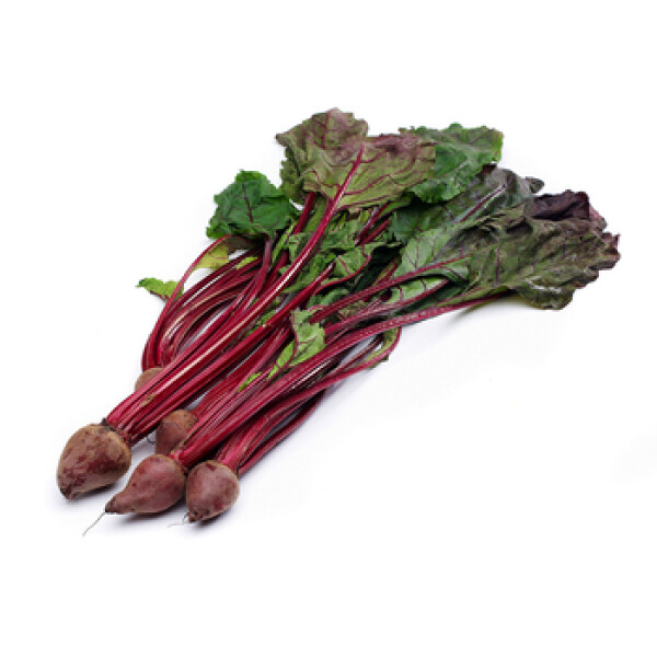 Botwina pęczek (500G)