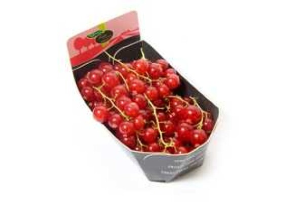 Porzeczka czerwona (125G)