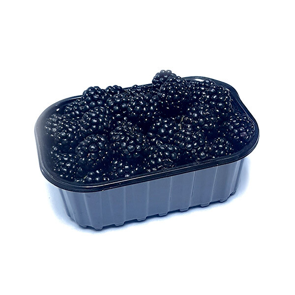 Jeżyna (250G)