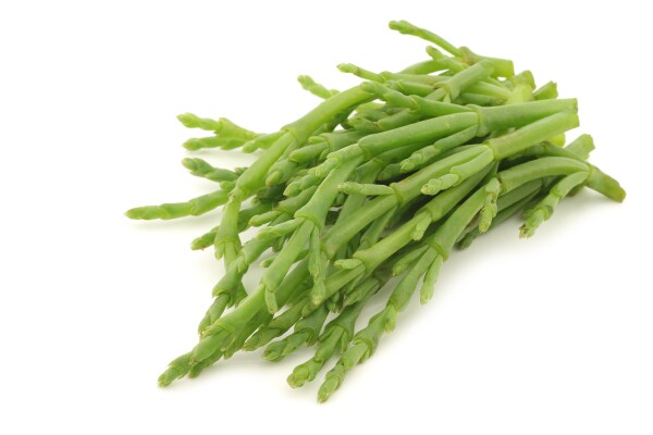 Soliród (100G)