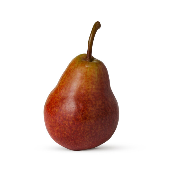 Grusza Williams czerwona (1KG)