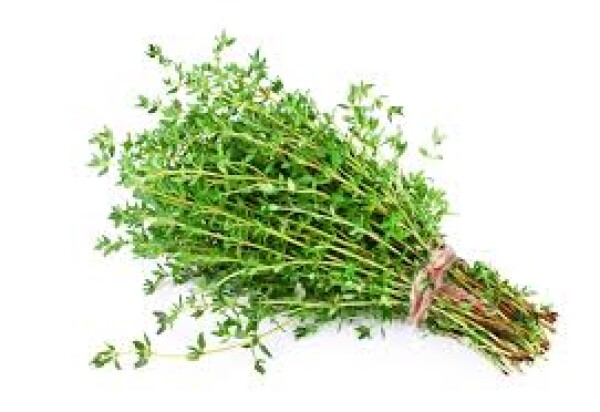 Tymianek (100G)