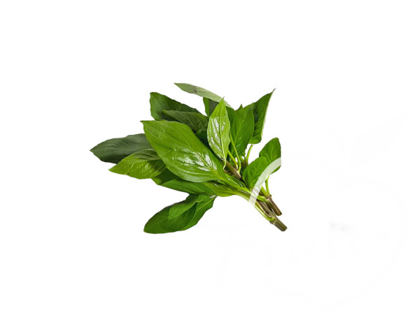 Bazylia tajska (100G)