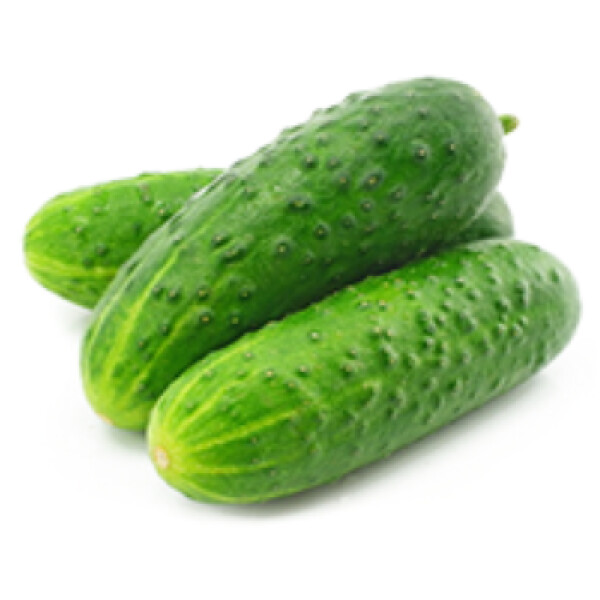 Ogórek gruntowy (1KG)