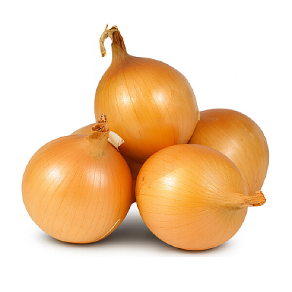 Cebula żółta średnia (1KG)